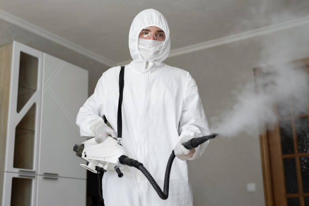 Best Mold Prevention Services  in Mineral Springs, AR